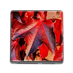 Wine Partner Wild Vine Leaves Plant Memory Card Reader (Square)