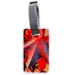 Wine Partner Wild Vine Leaves Plant Luggage Tags (One Side) 