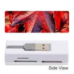 Wine Partner Wild Vine Leaves Plant Memory Card Reader (Stick) 