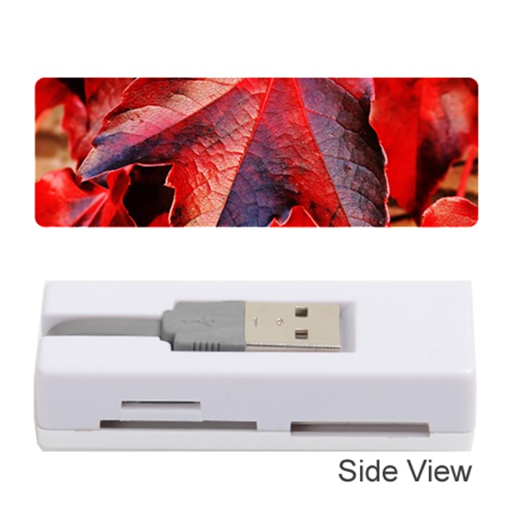 Wine Partner Wild Vine Leaves Plant Memory Card Reader (Stick) 