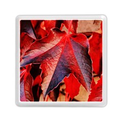 Wine Partner Wild Vine Leaves Plant Memory Card Reader (Square) 