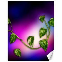 Leaves Green Leaves Background Canvas 12  X 16  