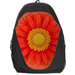 Flower Plant Petal Summer Color Backpack Bag