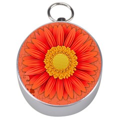 Flower Plant Petal Summer Color Silver Compasses by Sapixe