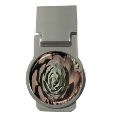 Succulent Green Pink Rosettes Money Clips (round)  by Sapixe