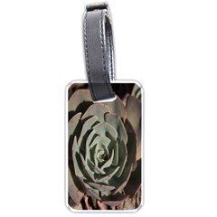 Succulent Green Pink Rosettes Luggage Tags (one Side)  by Sapixe