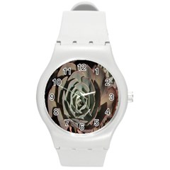 Succulent Green Pink Rosettes Round Plastic Sport Watch (m) by Sapixe