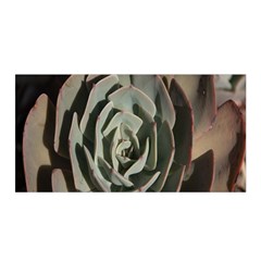 Succulent Green Pink Rosettes Satin Wrap by Sapixe