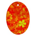 Background Reason Pattern Design Oval Ornament (Two Sides) Front