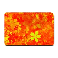 Background Reason Pattern Design Small Doormat 