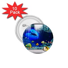 Dolphin Art Creation Natural Water 1 75  Buttons (10 Pack)