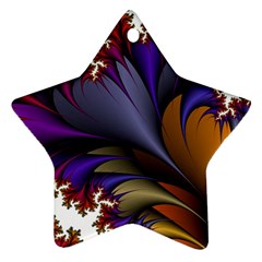 Flora Entwine Fractals Flowers Star Ornament (Two Sides)