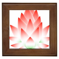 Lotus Flower Blossom Abstract Framed Tiles