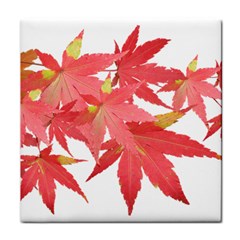 Leaves Maple Branch Autumn Fall Tile Coasters by Sapixe