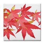 Leaves Maple Branch Autumn Fall Tile Coasters Front