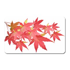 Leaves Maple Branch Autumn Fall Magnet (rectangular)