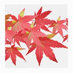 Leaves Maple Branch Autumn Fall Medium Glasses Cloth