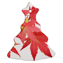 Leaves Maple Branch Autumn Fall Christmas Tree Ornament (two Sides)