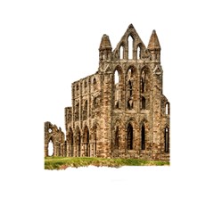 Ruin Monastery Abbey Gothic Whitby Shower Curtain 48  X 72  (small) 