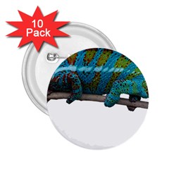 Reptile Lizard Animal Isolated 2 25  Buttons (10 Pack)  by Sapixe