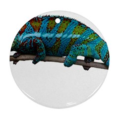 Reptile Lizard Animal Isolated Round Ornament (two Sides) by Sapixe
