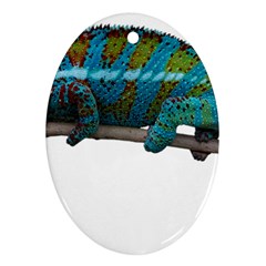 Reptile Lizard Animal Isolated Oval Ornament (two Sides) by Sapixe