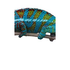 Reptile Lizard Animal Isolated Shower Curtain 48  X 72  (small) 