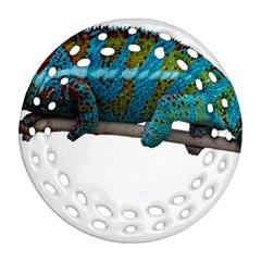 Reptile Lizard Animal Isolated Ornament (round Filigree) by Sapixe