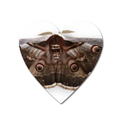 Night Butterfly Butterfly Giant Heart Magnet by Sapixe