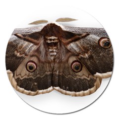 Night Butterfly Butterfly Giant Magnet 5  (round) by Sapixe