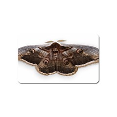 Night Butterfly Butterfly Giant Magnet (name Card) by Sapixe
