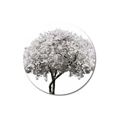 Nature Tree Blossom Bloom Cherry Magnet 3  (round) by Sapixe