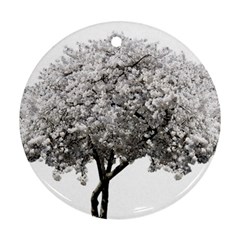 Nature Tree Blossom Bloom Cherry Round Ornament (two Sides)