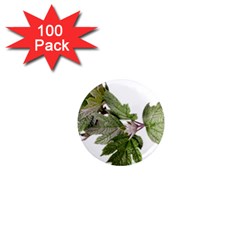 Leaves Plant Branch Nature Foliage 1  Mini Magnets (100 Pack)  by Sapixe