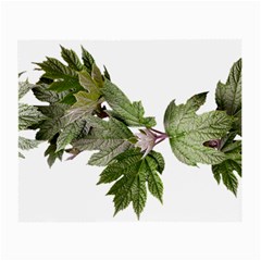 Leaves Plant Branch Nature Foliage Small Glasses Cloth by Sapixe