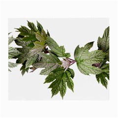 Leaves Plant Branch Nature Foliage Small Glasses Cloth (2-side) by Sapixe