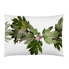 Leaves Plant Branch Nature Foliage Pillow Case