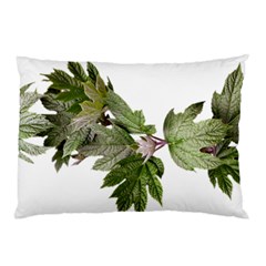 Leaves Plant Branch Nature Foliage Pillow Case (two Sides) by Sapixe