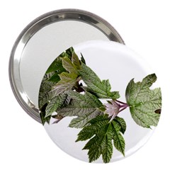 Leaves Plant Branch Nature Foliage 3  Handbag Mirrors by Sapixe