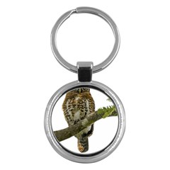 Owl Bird Key Chains (round) 