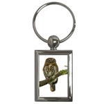 Owl Bird Key Chains (Rectangle)  Front