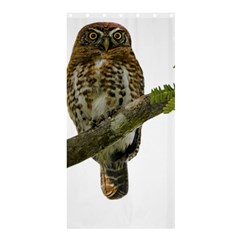 Owl Bird Shower Curtain 36  X 72  (stall) 