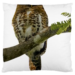 Owl Bird Large Cushion Case (two Sides) by Sapixe