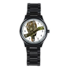 Owl Bird Stainless Steel Round Watch