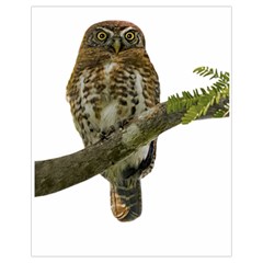 Owl Bird Drawstring Bag (small)