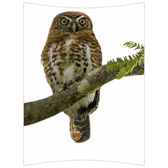 Owl Bird Back Support Cushion by Sapixe