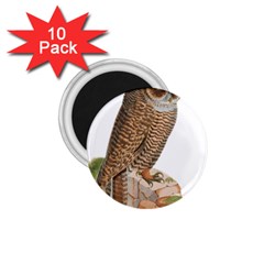 Bird Owl Animal Vintage Isolated 1 75  Magnets (10 Pack) 