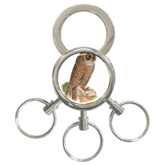 Bird Owl Animal Vintage Isolated 3-Ring Key Chains