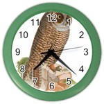 Bird Owl Animal Vintage Isolated Color Wall Clocks Front