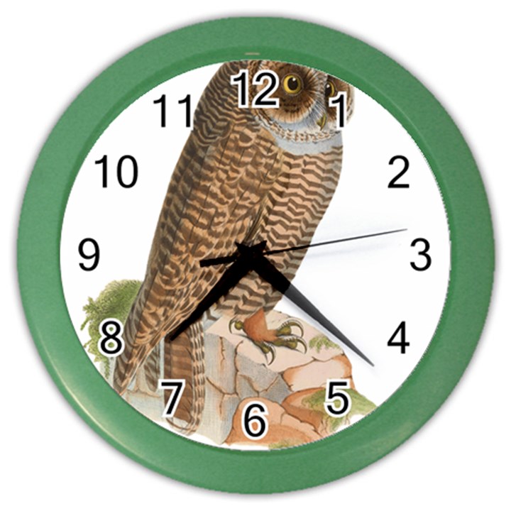 Bird Owl Animal Vintage Isolated Color Wall Clocks